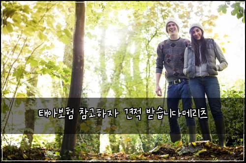 태아보험 참고하자  견적 받습니다메리츠