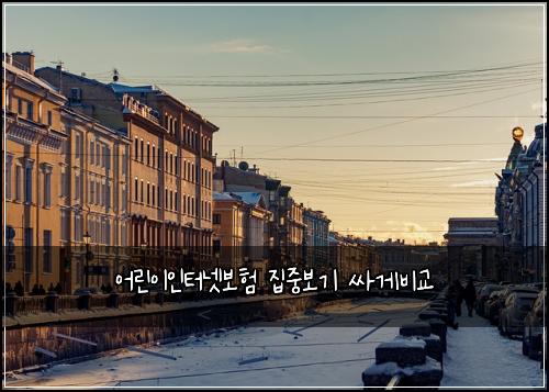 어린이인터넷보험 집중보기  싸게비교