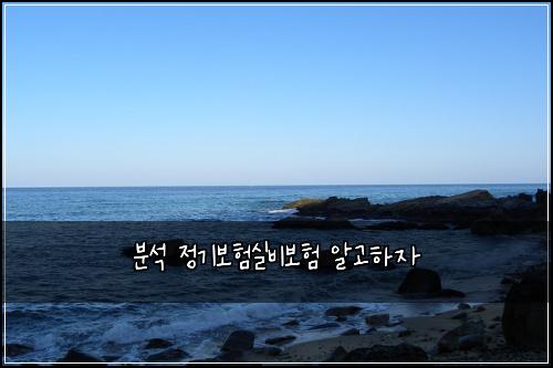 분석 정기보험실비보험 알고하자