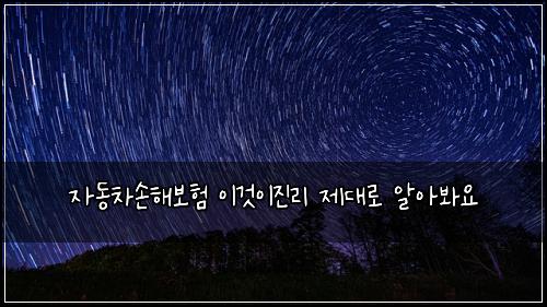 자동차손해보험 이것이진리  제대로 알아봐요