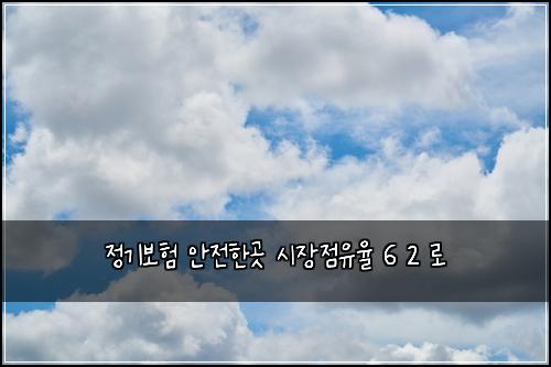 정기보험 안전한곳  시장점유율 6 2 로