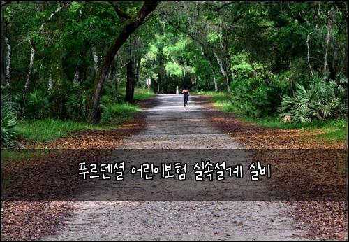푸르덴셜 어린이보험 실속설계  실비