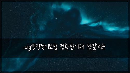 aig생명정기보험 정확한이해  헷갈리는