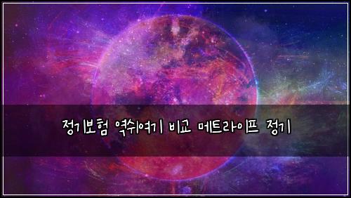 정기보험 역쉬여기  비교 메트라이프 정기