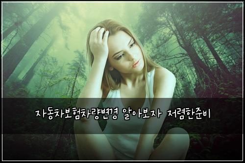 자동차보험차량변경 알아보자 저렴한준비