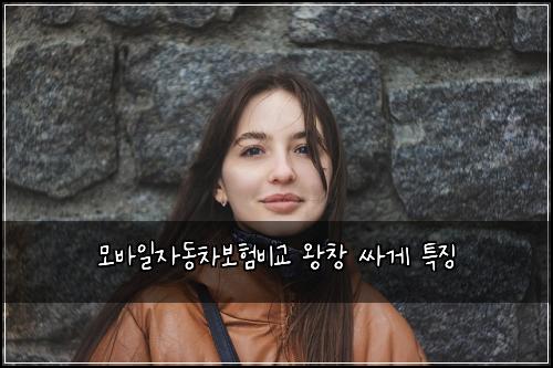모바일자동차보험비교 왕창 싸게 특징