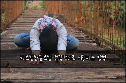 차보험한달보험 전략적으로 이용하는 방법