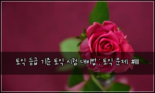 토익 등급 기준 토익 시험 대비법 : 토익 문제 #111