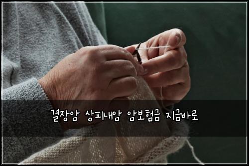 결장암 상피내암 암보험금 지금바로