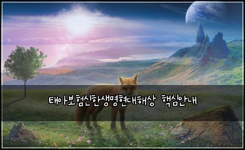 태아보험신한생명현대해상 핵심안내