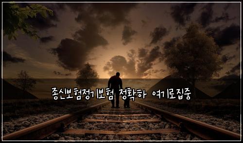 종신보험정기보험 정확하 여기로집중