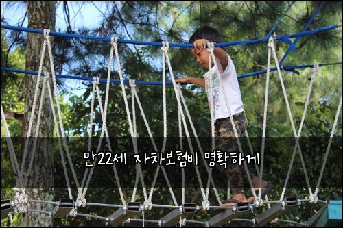 만22세 자차보험비 명확하게