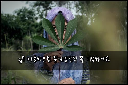 q7 자동차보험 설계방정식  꼭 기억하세요