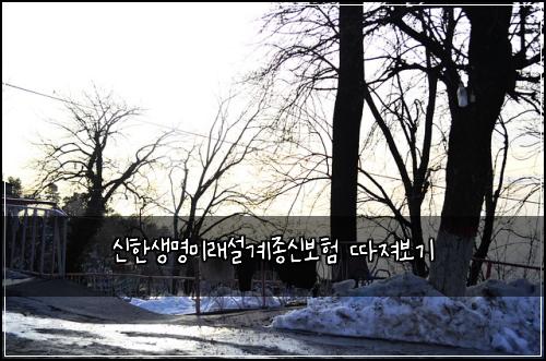 신한생명미래설계종신보험 따져보기
