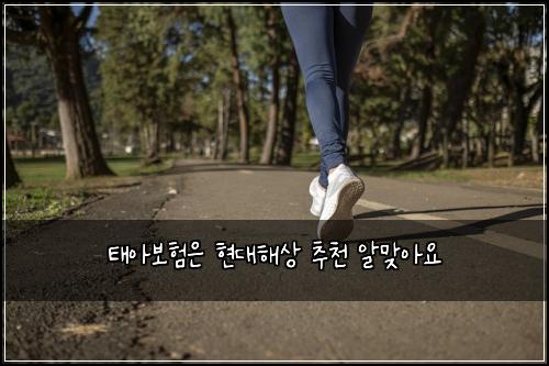 태아보험은 현대해상 추천 알맞아요