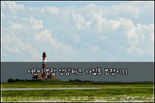 어린이 보험 상담체크  가입후 보장시기