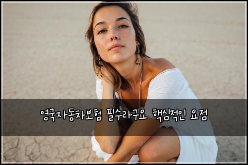 ์๊ตญ์๋์ฐจ๋ณดํ ํ์๋ผ๊ตฌ์ ํต์ฌ์ ์ธ ์์ 