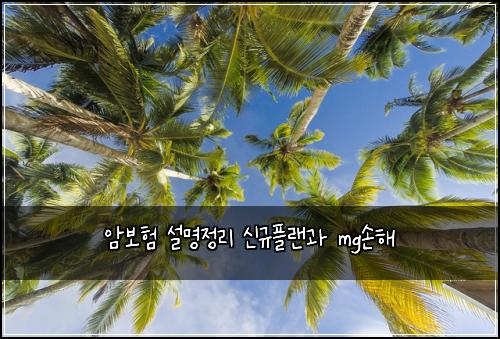 ์๋ณดํ ์ค๋ช
์ ๋ฆฌ ์ ๊ทํ๋๊ณผ mg์ํด