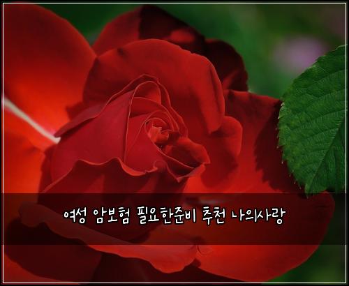여성 암보험 필요한준비  추천 나의사랑