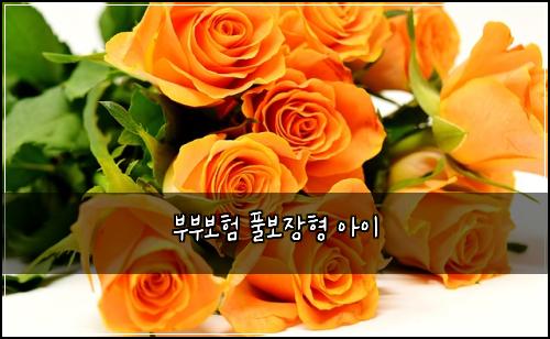 ๋ถ๋ถ๋ณดํ ํ๋ณด์ฅํ ์์ด