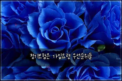 ์ ๊ธฐ๋ณดํ์ ๊ฐ์
์๋ น ์ฐ์ ์์๋ค