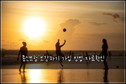 종신보험 보강하기  가입 방법 자료확인