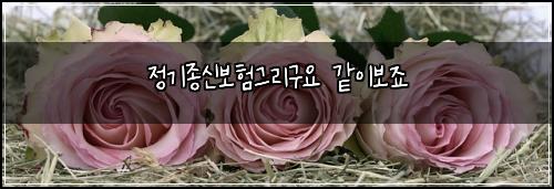 정기종신보험그리구요 같이보죠