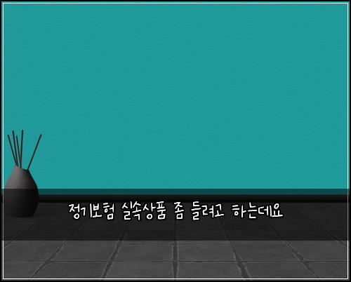 정기보험 실속상품  좀 들려고 하는데요