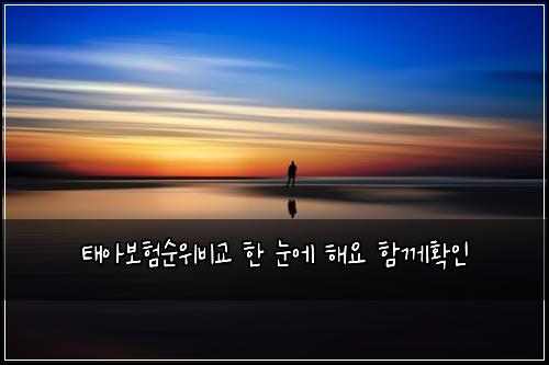 태아보험순위비교 한 눈에 해요 함께확인