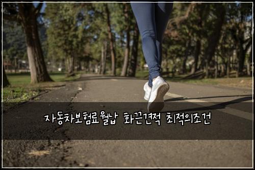 자동차보험료월납 화끈견적 최적의조건