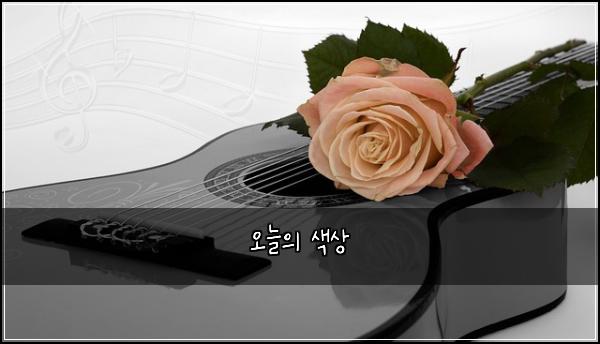 오늘의 색상