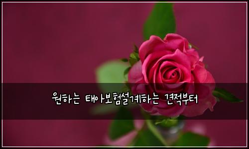 원하는 태아보험설계하는 견적부터