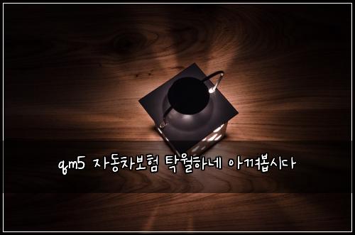 qm5 자동차보험 탁월하네  아껴봅시다