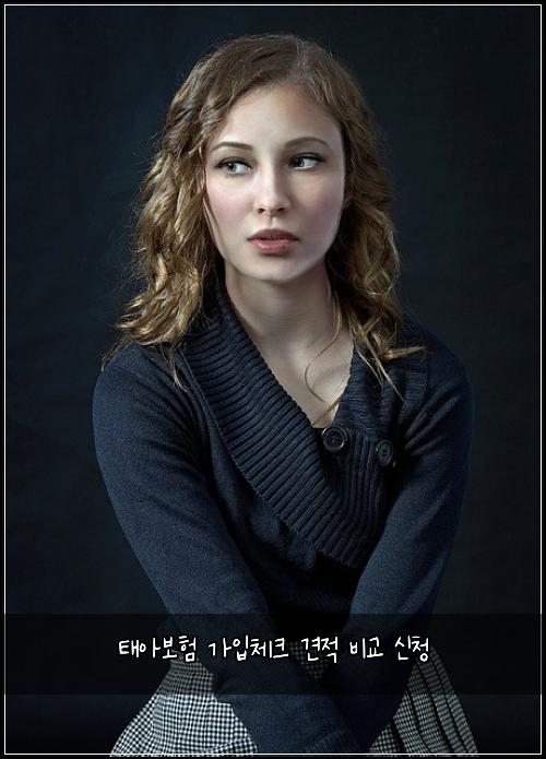 태아보험 가입체크  견적 비교 신청