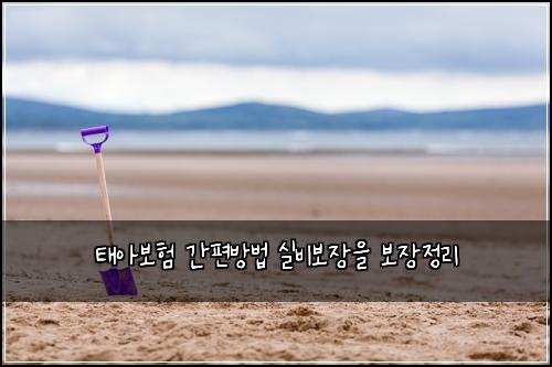 ํ์๋ณดํ ๊ฐํธ๋ฐฉ๋ฒ ์ค๋น๋ณด์ฅ์ ๋ณด์ฅ์ ๋ฆฌ