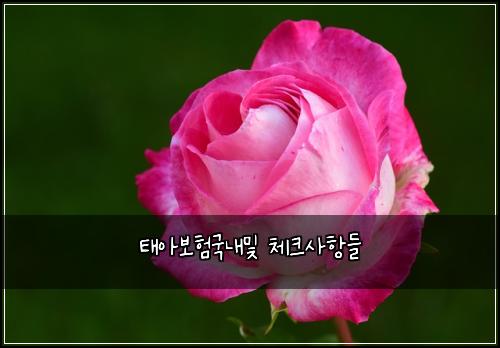 νμ보νκ΅λ΄λ° 체ν¬μ¬νλ€