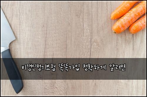 비갱신정기보험 똑똑가입  정확하게 알려면