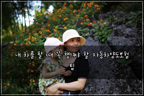 내 차를 팔 때 꼭 챙겨야 할 자동차양도보험 팁