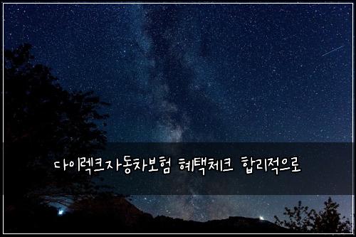 다이렉크자동차보험 혜택체크  합리적으로