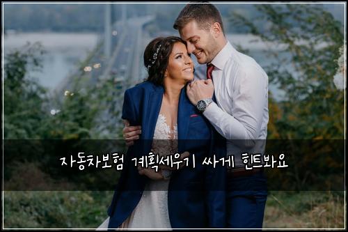 자동차보험 계획세우기  싸게 힌트봐요