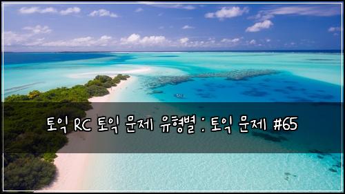 토익 RC 토익 문제 유형별 : 토익 문제 #65