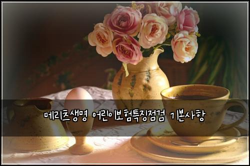 메리츠생명 어린이보험특징점검 기본사항