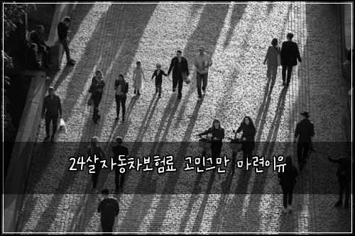 24살자동차보험료 고민그만 마련이유