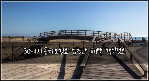 30대자동차보험료 엄청난 혜택 핵심정보