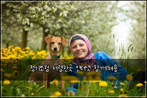 정기보험 저렴한곳  인터넷 함께해용