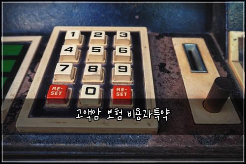 고액암 보험 비용과특약 