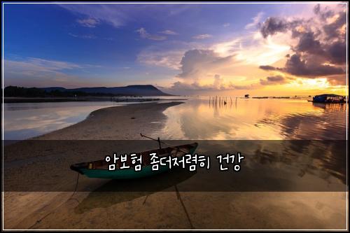์๋ณดํ ์ข๋์ ๋ ดํ ๊ฑด๊ฐ
