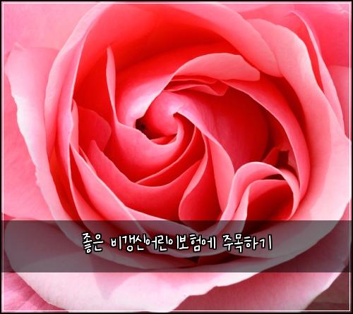 좋은 비갱신어린이보험에 주목하기