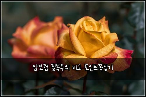 ์๋ณดํ ํ๋
์ฃผ์ ๋น๊ต ํฌ์ธํธ๊ผญ์ง๊ธฐ