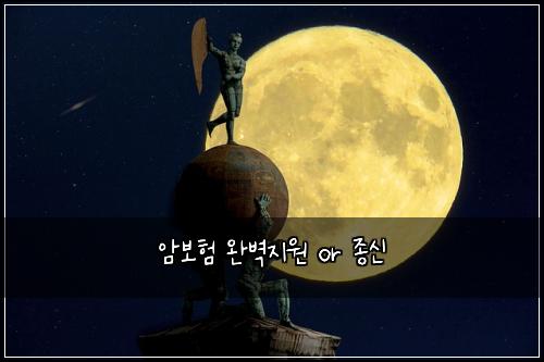 암보험 완벽지원  or 종신